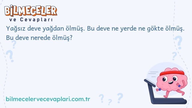 Yağsız deve yağdan ölmüş. Bu deve ne yerde ne gökte ölmüş. Bu deve nerede ölmüş?