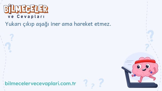 Yukarı çıkıp aşağı iner ama hareket etmez.