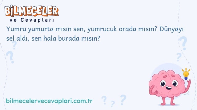 Yumru yumurta mısın sen, yumrucuk orada mısın? Dünyayı sel aldı, sen hala burada mısın?