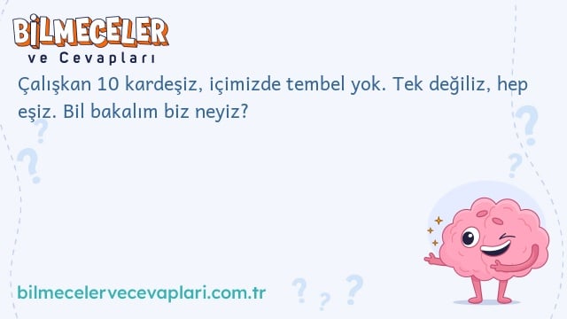 Çalışkan 10 kardeşiz, içimizde tembel yok. Tek değiliz, hep eşiz. Bil bakalım biz neyiz?