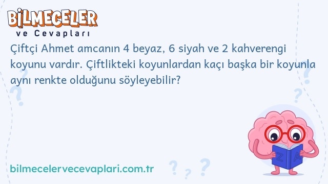 Çiftçi Ahmet amcanın 4 beyaz, 6 siyah ve 2 kahverengi koyunu vardır. Çiftlikteki koyunlardan kaçı başka bir koyunla aynı renkte olduğunu söyleyebilir?