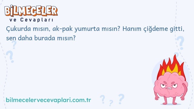 Çukurda mısın, ak-pak yumurta mısın? Hanım çiğdeme gitti, sen daha burada mısın?