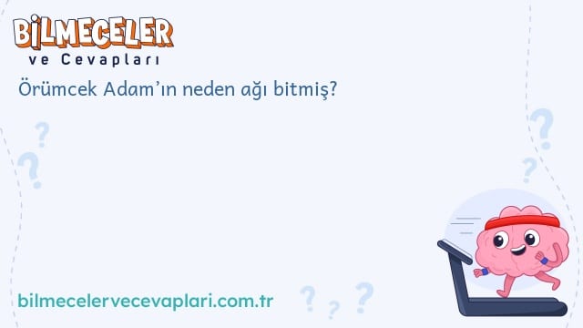 Örümcek Adam’ın neden ağı bitmiş?