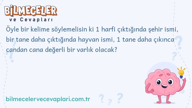 Öyle bir kelime söylemelisin ki 1 harfi çıktığında şehir ismi, bir tane daha çıktığında hayvan ismi, 1 tane daha çıkınca candan cana değerli bir varlık olacak?