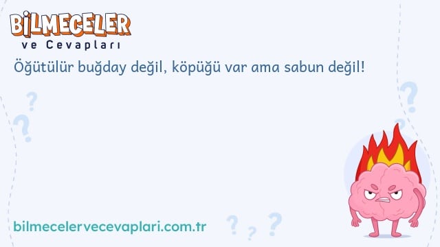 Öğütülür buğday değil, köpüğü var ama sabun değil!