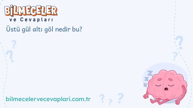 Üstü gül altı göl nedir bu?