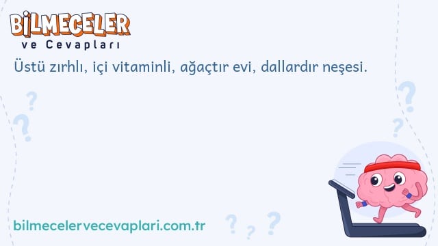 Üstü zırhlı, içi vitaminli, ağaçtır evi, dallardır neşesi.