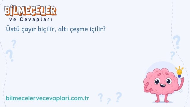 Üstü çayır biçilir, altı çeşme içilir?