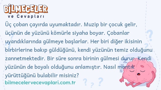 Üç çoban çayırda uyumaktadır. Muzip bir çocuk gelir, üçünün de yüzünü kömürle siyaha boyar. Çobanlar uyandıklarında gülmeye başlarlar. Her biri diğer ikisinin birbirlerine bakıp güldüğünü, kendi yüzünün temiz olduğunu zannetmektedir. Bir süre sonra birinin gülmesi durur. Kendi yüzünün de boyalı olduğunu anlamıştır. Nasıl mantık yürüttüğünü bulabilir misiniz?