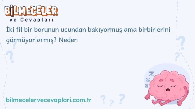 İki fil bir borunun ucundan bakıyormuş ama birbirlerini görmüyorlarmış? Neden