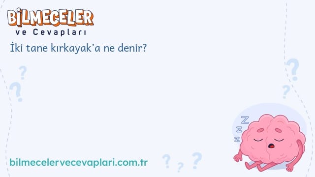 İki tane kırkayak’a ne denir?