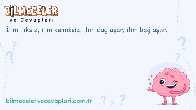 İlim iliksiz, ilim kemiksiz, ilim dağ aşar, ilim bağ aşar.