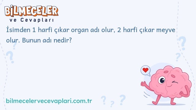 İsimden 1 harfi çıkar organ adı olur, 2 harfi çıkar meyve olur. Bunun adı nedir?