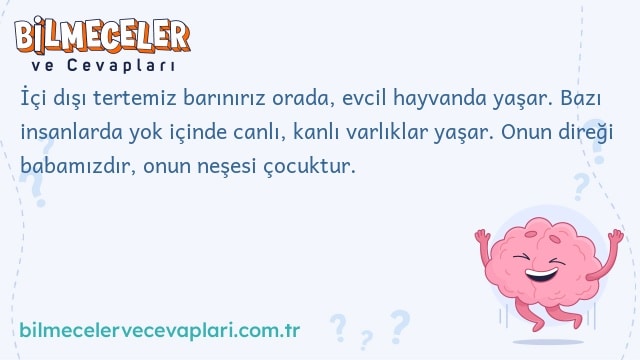 İçi dışı tertemiz barınırız orada, evcil hayvanda yaşar. Bazı insanlarda yok içinde canlı, kanlı varlıklar yaşar. Onun direği babamızdır, onun neşesi çocuktur.