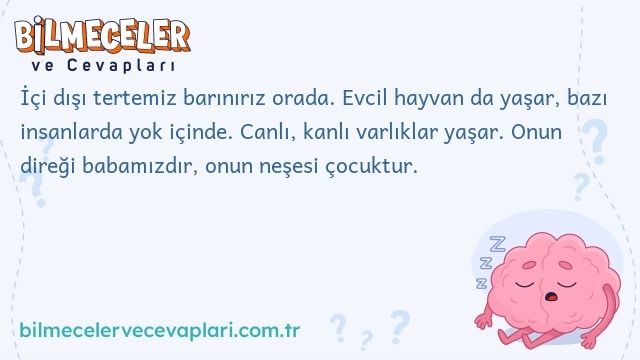 İçi dışı tertemiz barınırız orada. Evcil hayvan da yaşar, bazı insanlarda yok içinde. Canlı, kanlı varlıklar yaşar. Onun direği babamızdır, onun neşesi çocuktur.