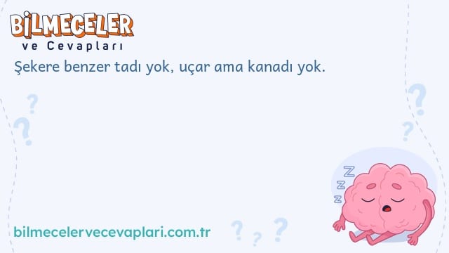 Şekere benzer tadı yok, uçar ama kanadı yok.