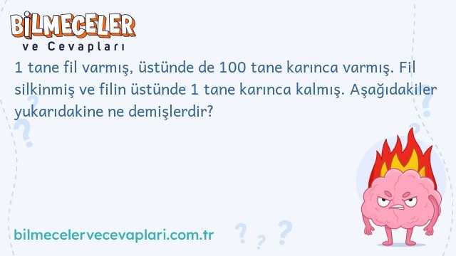 1 tane fil varmış, üstünde de 100 tane karınca varmış. Fil silkinmiş ve filin üstünde 1 tane karınca kalmış. Aşağıdakiler yukarıdakine ne demişlerdir?