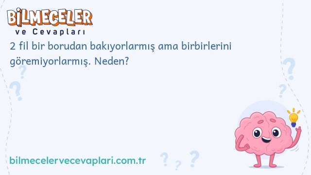 2 fil bir borudan bakıyorlarmış ama birbirlerini göremiyorlarmış. Neden?