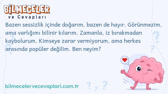 Bazen sessizlik içinde doğarım, bazen de hayır. Görünmezim, ama varlığımı bilinir kılarım. Zamanla, iz bırakmadan kaybolurum. Kimseye zarar vermiyorum, ama herkes arasında popüler değilim. Ben neyim?