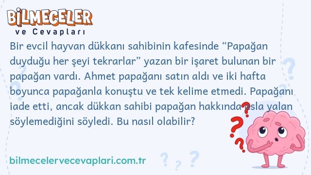 Bir evcil hayvan dükkanı sahibinin kafesinde “Papağan duyduğu her şeyi tekrarlar” yazan bir işaret bulunan bir papağan vardı. Ahmet papağanı satın aldı ve iki hafta boyunca papağanla konuştu ve tek kelime etmedi. Papağanı iade etti, ancak dükkan sahibi papağan hakkında asla yalan söylemediğini söyledi. Bu nasıl olabilir?