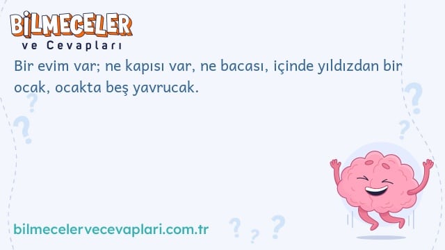 Bir evim var; ne kapısı var, ne bacası, içinde yıldızdan bir ocak, ocakta beş yavrucak.