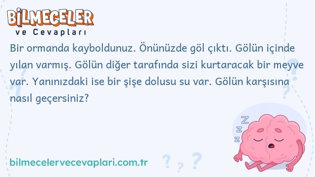 Bir ormanda kayboldunuz. Önünüzde göl çıktı. Gölün içinde yılan varmış. Gölün diğer tarafında sizi kurtaracak bir meyve var. Yanınızdaki ise bir şişe dolusu su var. Gölün karşısına nasıl geçersiniz?