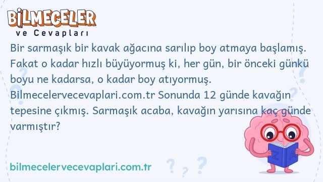 Bir sarmaşık bir kavak ağacına sarılıp boy atmaya başlamış. Fakat o kadar hızlı büyüyormuş ki, her gün, bir önceki günkü boyu ne kadarsa, o kadar boy atıyormuş. bilmeceler.tr Sonunda 12 günde kavağın tepesine çıkmış. Sarmaşık acaba, kavağın yarısına kaç günde varmıştır?