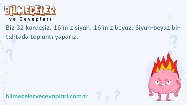 Biz 32 kardeşiz. 16’mız siyah, 16’mız beyaz. Siyah-beyaz bir tahtada toplantı yaparız.