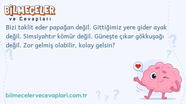 Bizi taklit eder papağan değil. Gittiğimiz yere gider ayak değil. Simsiyahtır kömür değil. Güneşte çıkar gökkuşağı değil. Zor gelmiş olabilir, kolay gelsin?