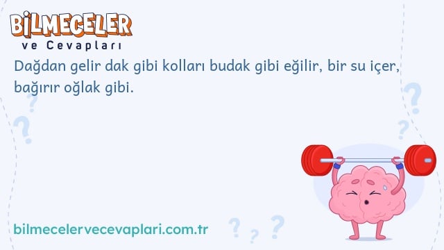 Dağdan gelir dak gibi kolları budak gibi eğilir, bir su içer, bağırır oğlak gibi.