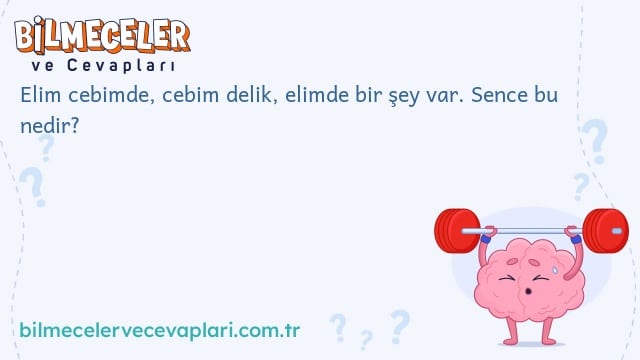 Elim cebimde, cebim delik, elimde bir şey var. Sence bu nedir?