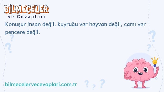 Konuşur insan değil, kuyruğu var hayvan değil, camı var pencere değil.