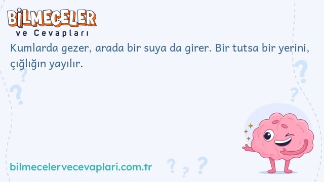 Kumlarda gezer, arada bir suya da girer. Bir tutsa bir yerini, çığlığın yayılır.