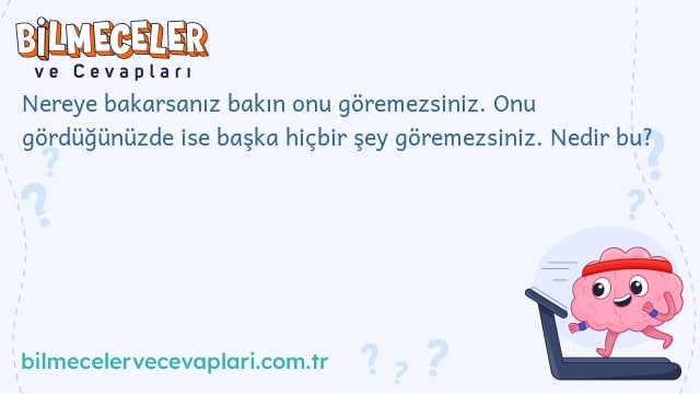 Nereye bakarsanız bakın onu göremezsiniz. Onu gördüğünüzde ise başka hiçbir şey göremezsiniz. Nedir bu?