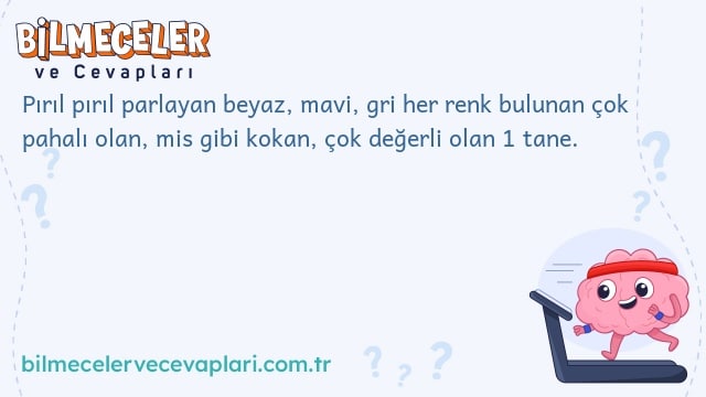 Pırıl pırıl parlayan beyaz, mavi, gri her renk bulunan çok pahalı olan, mis gibi kokan, çok değerli olan 1 tane.