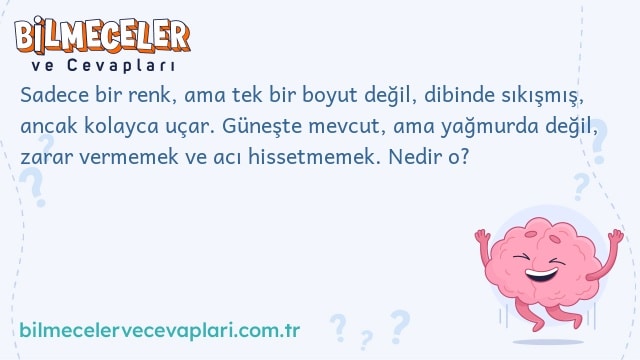 Sadece bir renk, ama tek bir boyut değil, dibinde sıkışmış, ancak kolayca uçar. Güneşte mevcut, ama yağmurda değil, zarar vermemek ve acı hissetmemek. Nedir o?