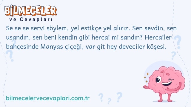 Se se se servi söylem, yel estikçe yel alırız. Sen sevdin, sen usandın, sen beni kendin gibi hercai mi sandın? Hercailer bahçesinde Manyas çiçeği, var git hey deveciler köşesi.