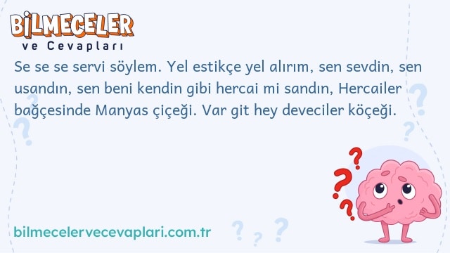 Se se se servi söylem. Yel estikçe yel alırım, sen sevdin, sen usandın, sen beni kendin gibi hercai mi sandın, Hercailer bağçesinde Manyas çiçeği. Var git hey deveciler köçeği.