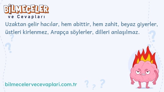 Uzaktan gelir hacılar, hem abittir, hem zahit, beyaz giyerler, üstleri kirlenmez, Arapça söylerler, dilleri anlaşılmaz.