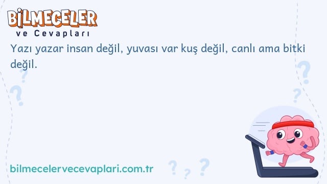 Yazı yazar insan değil, yuvası var kuş değil, canlı ama bitki değil.