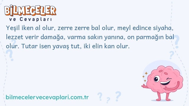 Yeşil iken al olur, zerre zerre bal olur, meyl edince siyaha, lezzet verir damağa, varma sakın yanına, on parmağın bal olur. Tutar isen yavaş tut, iki elin kan olur.