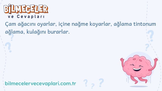 Çam ağacını oyarlar, içine nağme koyarlar, ağlama tintonum ağlama, kulağını burarlar.