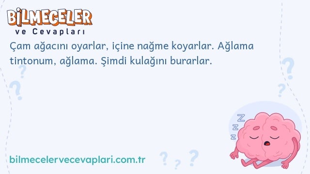 Çam ağacını oyarlar, içine nağme koyarlar. Ağlama tintonum, ağlama. Şimdi kulağını burarlar.