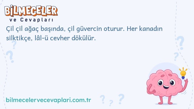 Çil çil ağaç başında, çil güvercin oturur. Her kanadın silktikçe, lâl-ü cevher dökülür.