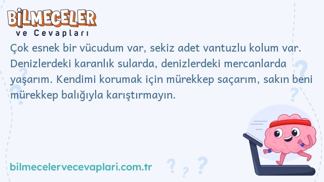 Çok esnek bir vücudum var, sekiz adet vantuzlu kolum var. Denizlerdeki karanlık sularda, denizlerdeki mercanlarda yaşarım. Kendimi korumak için mürekkep saçarım, sakın beni mürekkep balığıyla karıştırmayın.