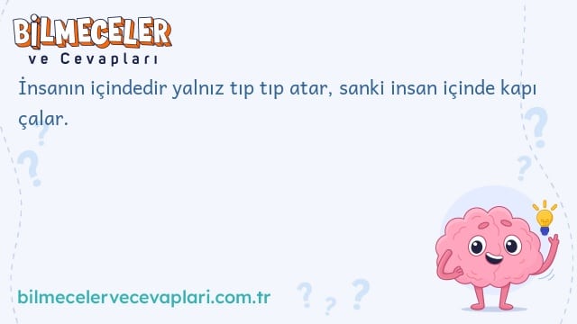 İnsanın içindedir yalnız tıp tıp atar, sanki insan içinde kapı çalar.