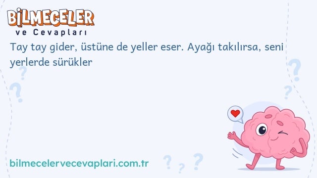 Tay tay gider, üstüne de yeller eser. Ayağı takılırsa, seni yerlerde sürükler