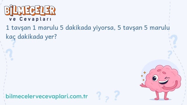 1 tavşan 1 marulu 5 dakikada yiyorsa, 5 tavşan 5 marulu kaç dakikada yer?