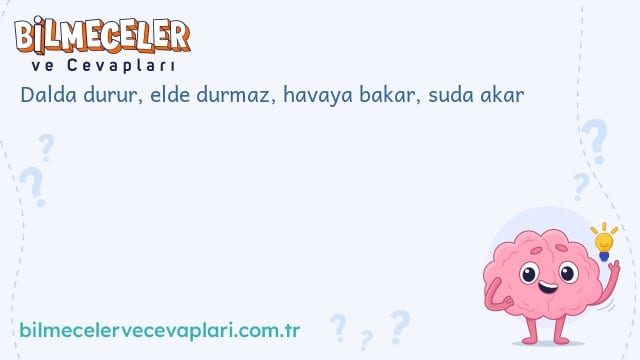 Dalda durur, elde durmaz, havaya bakar, suda akar