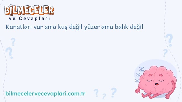 Kanatları var ama kuş değil yüzer ama balık değil